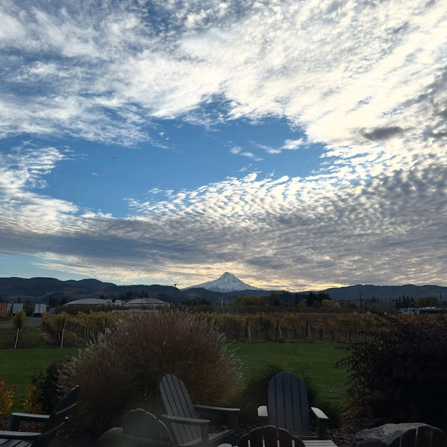 Our final day of the season is here ❤️&zwj;🩹
We&rsquo;re open from 11am&ndash;4pm &mdash; come grab a glass by the fire and spend one last cozy day with us.
Thank you for an incredible season! If we don&rsquo;t see you today, we&rsquo;ll see you aga