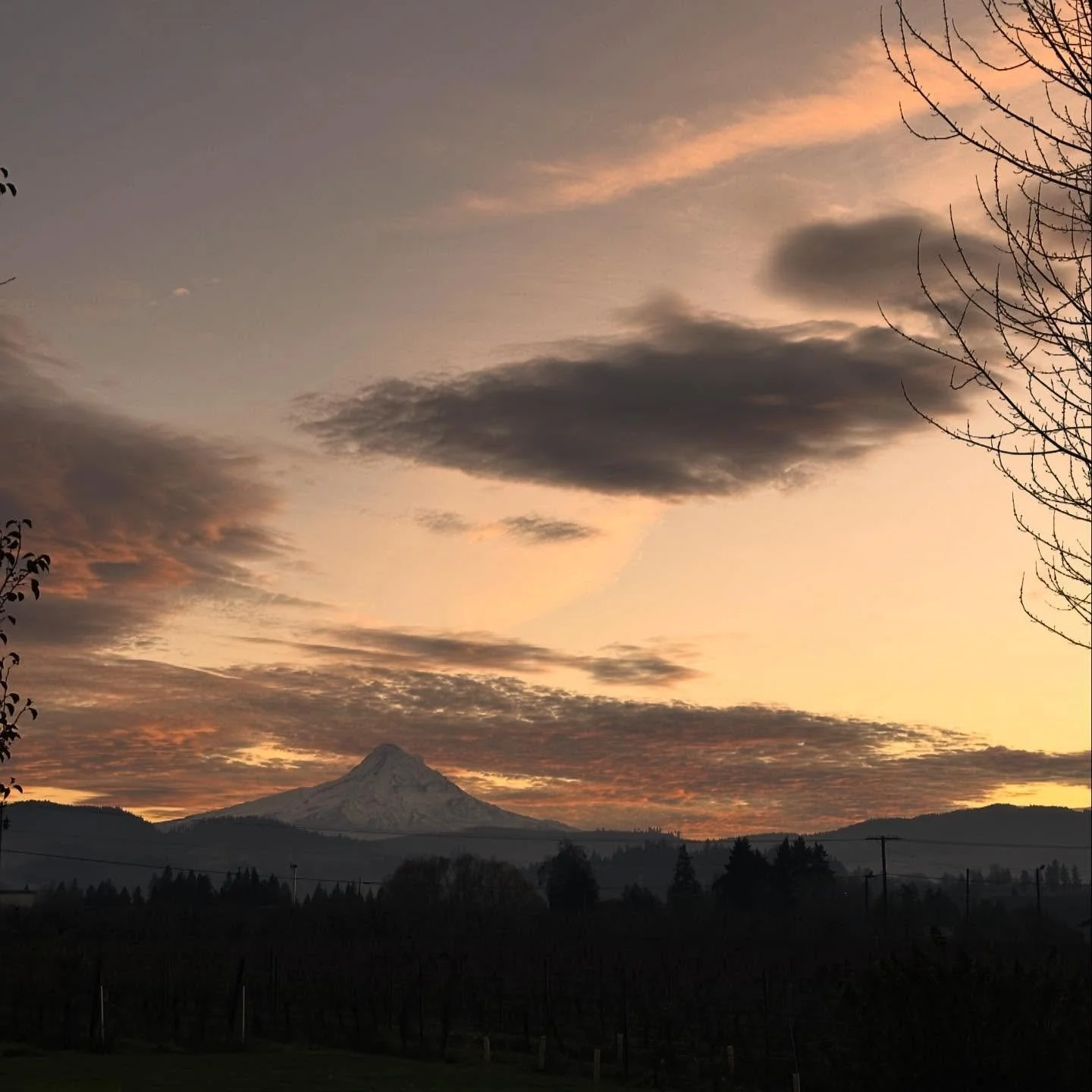 Sip &amp; Sound Thursdays continue tomorrow with Chic Preston &amp; Kerry Williams playing from 3&ndash;5pm 🎶✨

Hours this week (and next week):
Thursday: 11am - 5:30pm
Friday: 11am&ndash;4pm
Saturday: 11am&ndash;4pm

We hope to see you all soon!