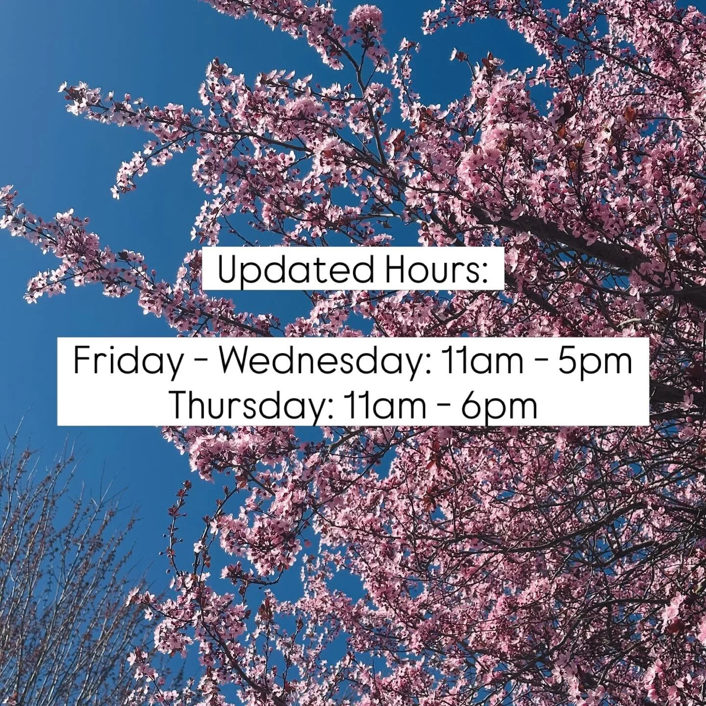 We&rsquo;re rolling into spring with new hours:
Friday &ndash; Wednesday: 11am &ndash; 5pm
Thursday: 11am &ndash; 6pm

Join us for Sip &amp; Sound Thursdays from 4&ndash;6pm 🎶
Reminder: Club members your April pickups are ready all month long!