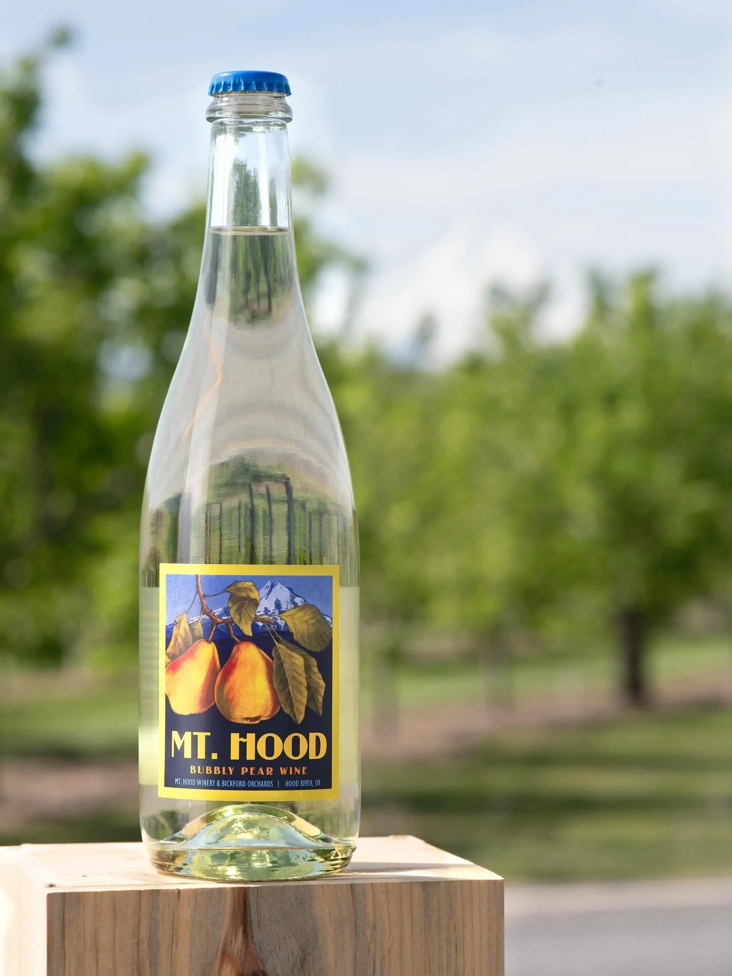 The wait is over, our Pear Bubbly is back! Available in the tasting room by the glass, bottle, or case.

Regular price per bottle is $30.00 with wine club pricing at $24.00

Come in and grab a glass with us! ✨