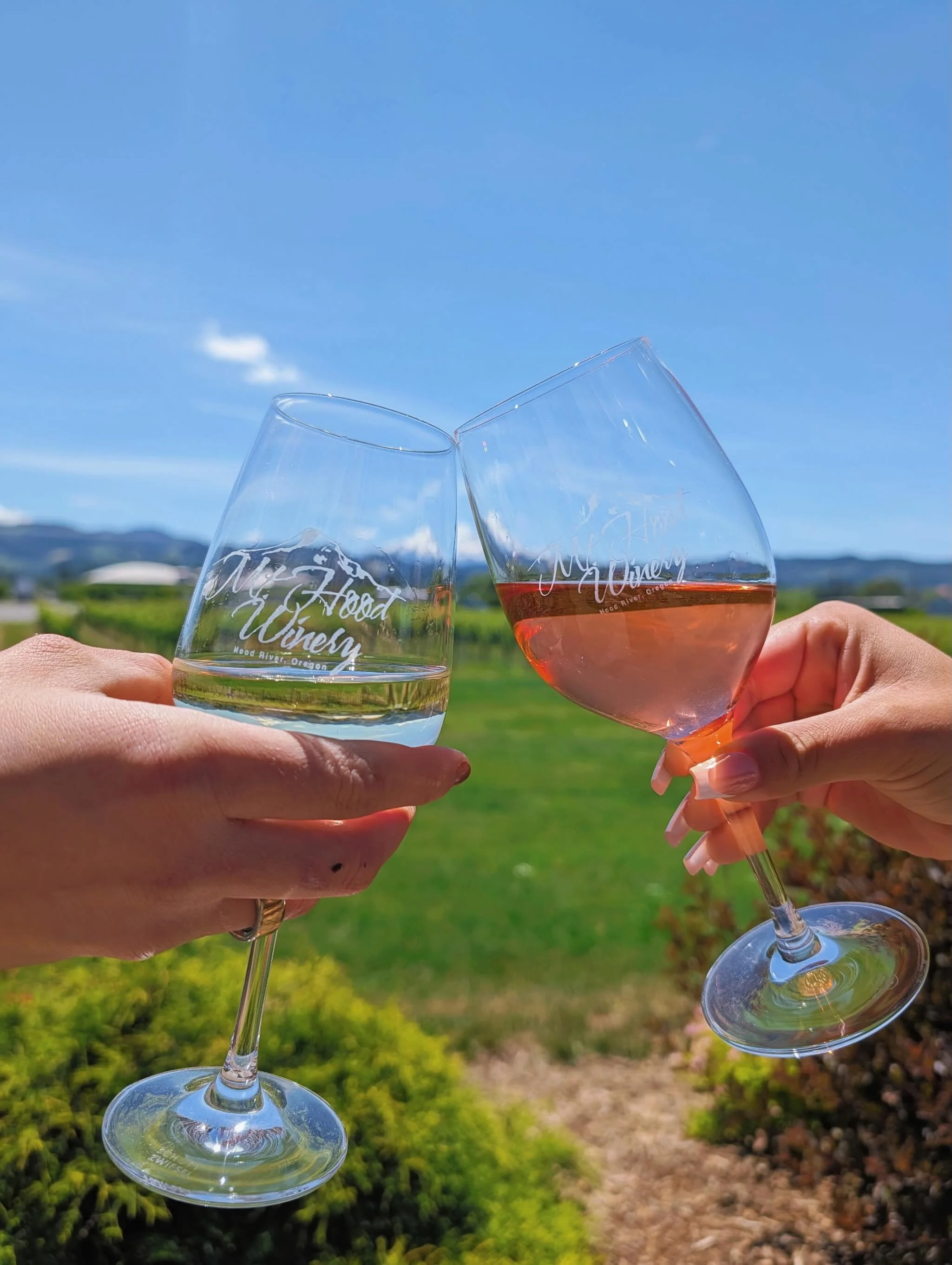 Another sunny day at the tasting room! We will have music from 4pm - 6pm featuring Chic Preston, Kerry Williams, and Michelle Goguen today ✨🎶 we hope to see you all soon!