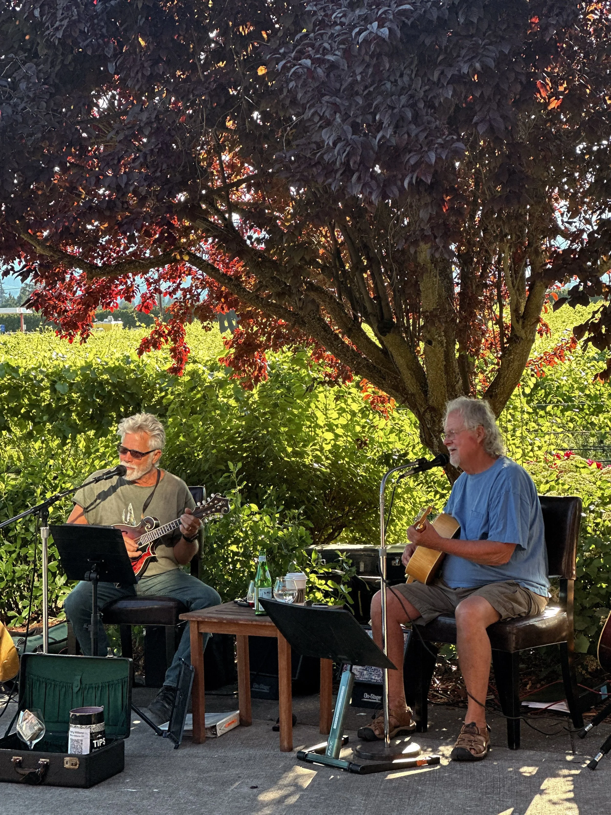 Don&rsquo;t miss Sip and Sound Thursday this evening from 4pm - 6pm out on our patio! ✨🍷 we will have Kerry Williams and friends performing for us. We hope to see you all soon! 🎶