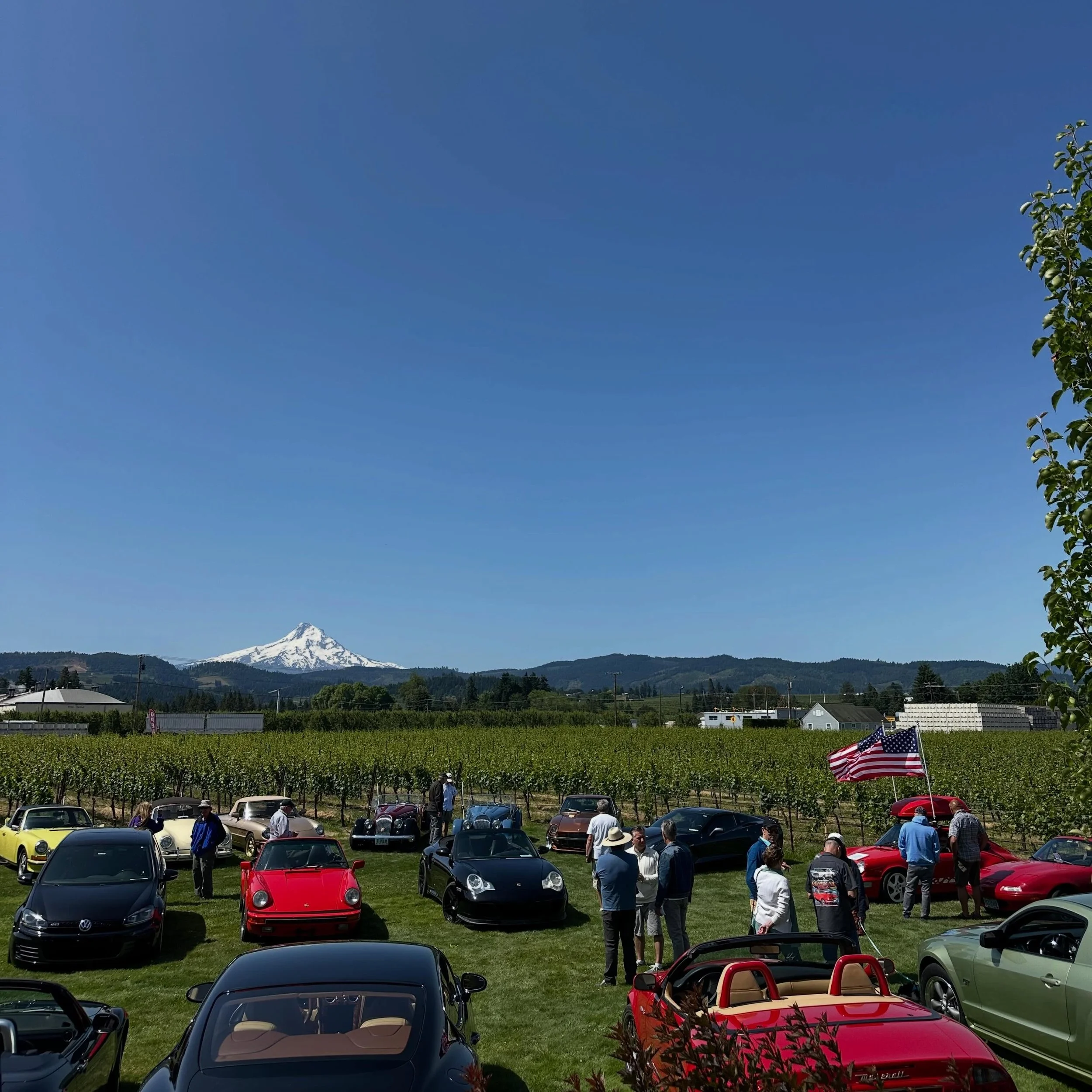 Join us tomorrow for the Show n&rsquo; Shine car show from 10am - 2pm here at our tasting room and out on the lawn 🏎️✨☀️ come see the classics for Father&rsquo;s Day weekend. We hope to see you all there! 🍷