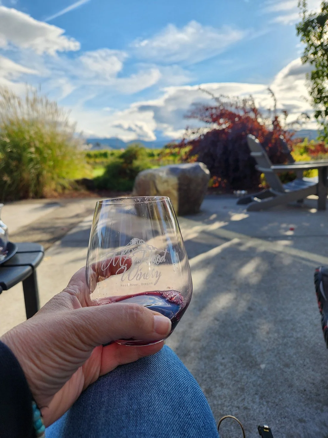 A person holding a glass of red wine outdoors with a scenic landscape, trees, and a cloudy sky in the background.