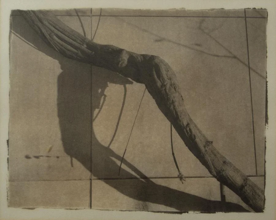 Ralph Mahon,  (tree limb and shadow on building),  15.75" x 13.75"