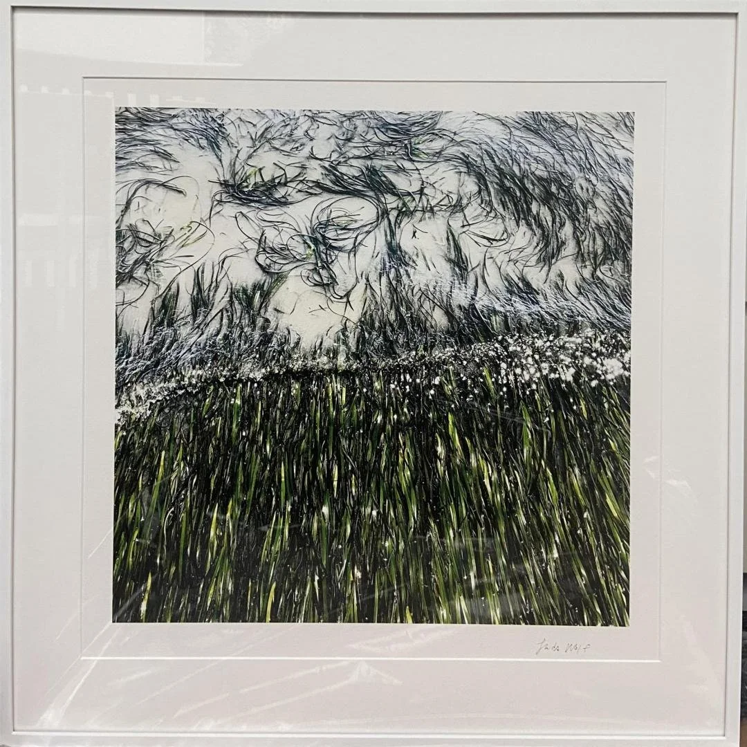 Linda Wolf,  (seagrass),  20" x 20"