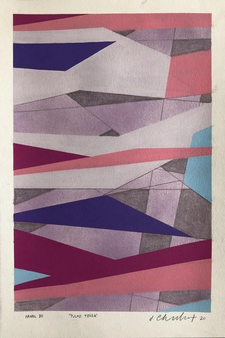 Dan Charbonnet (formerly Dan Tague),   Pulmo Terra Panel 10,  18" x 12"