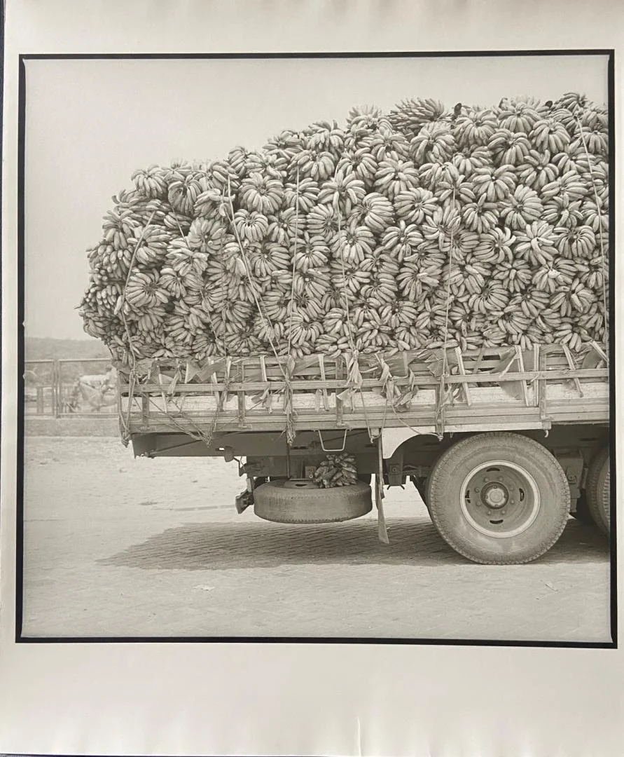 Rosalind Fox Solomon,  Bananas, Salvador, Bahia, Brazil,  15" x 15"