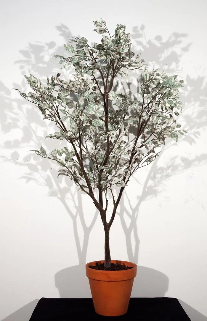 Dan Tague (now Charbonnet),   Personal Finance,  72" x 32" x 32"