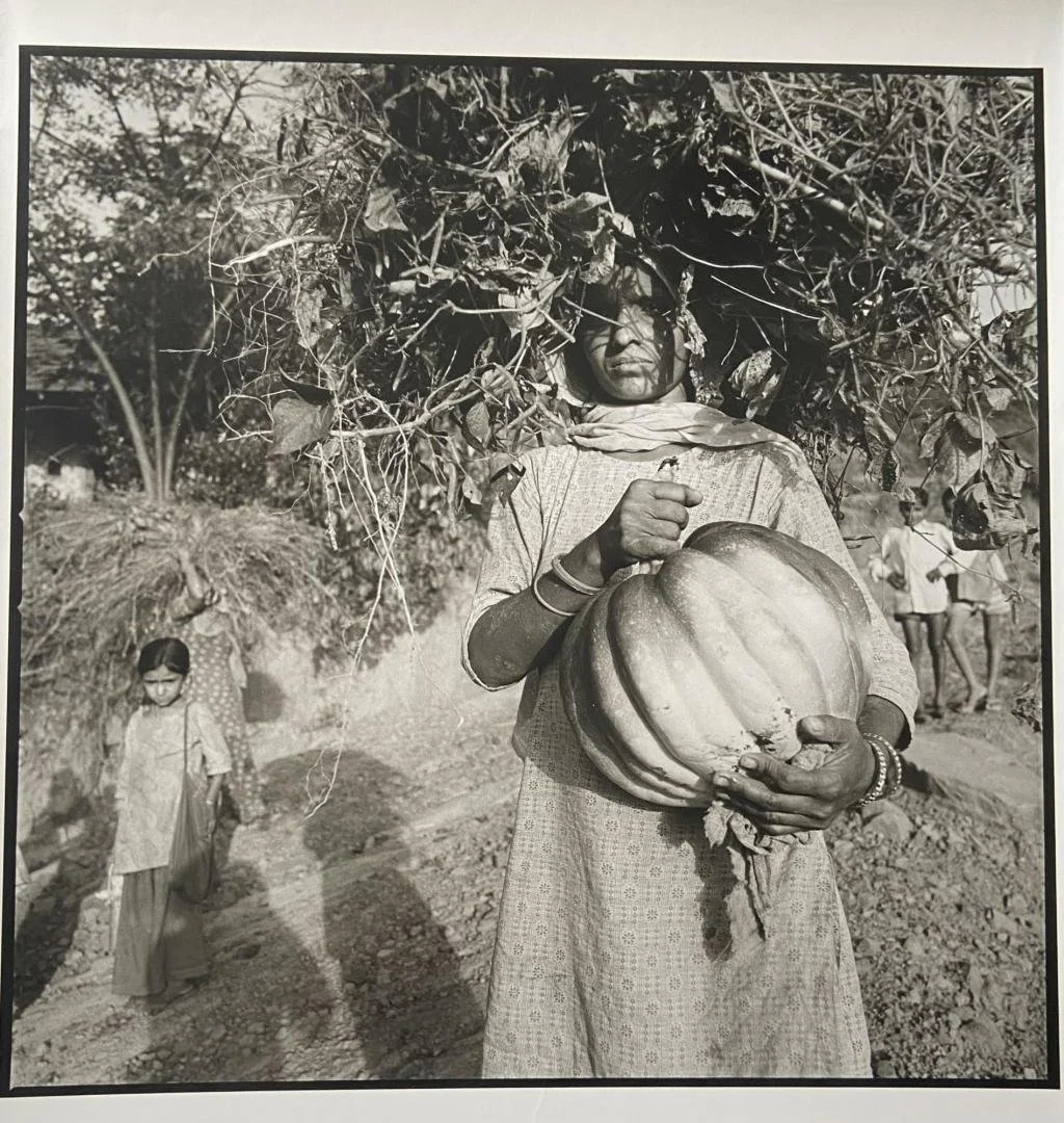 Rosalind Fox Solomon,  Shakti's Brambles, Kangra Valley, India,  15" x 15"