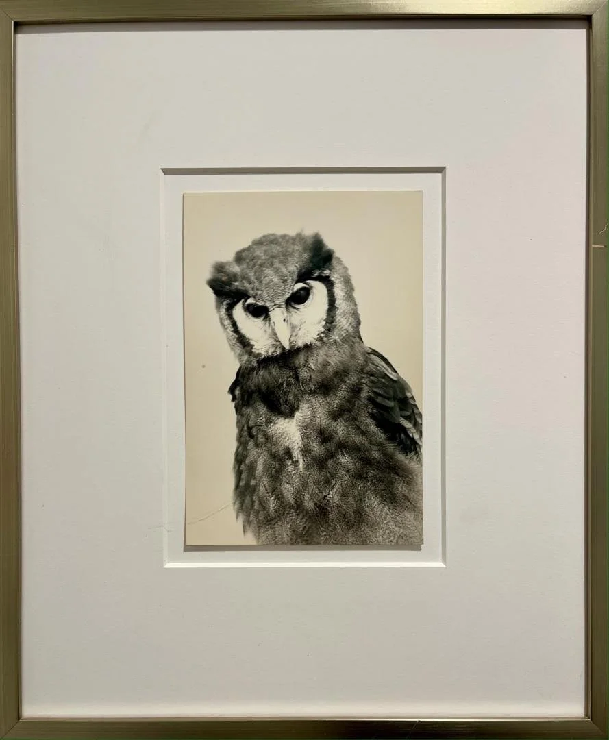Masao Yamamoto,  KAWA=FLOW #1638, Ed. 5 of 20,  19.5" x 16.26" (frame size)