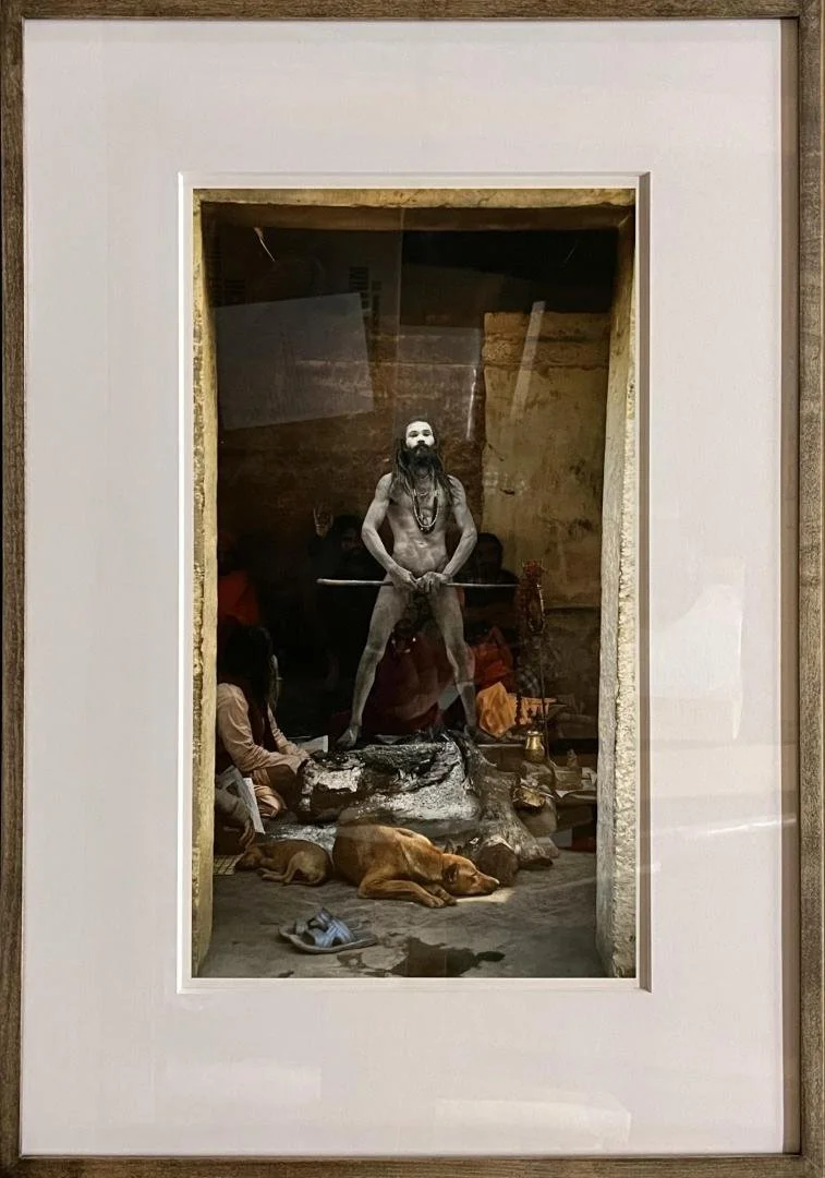 Linda Wolf ,  Hari 87.1,  16" x 28"