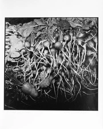 Rosalind Fox Solomon,  Carrot and Radish, Guatemala, 1978 (Mahon 677),  16" x 16"