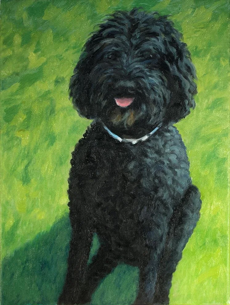 Gina Marquand,  Gus,  16" x 12"