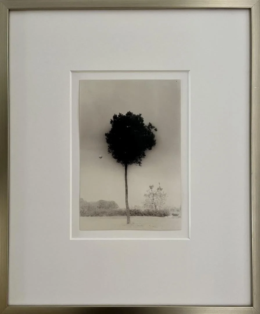 Masao Yamamoto,  KAWA=FLOW #1612, Ed. 5 of 20 (palm tree),  19.5" x 16.26" (frame size)