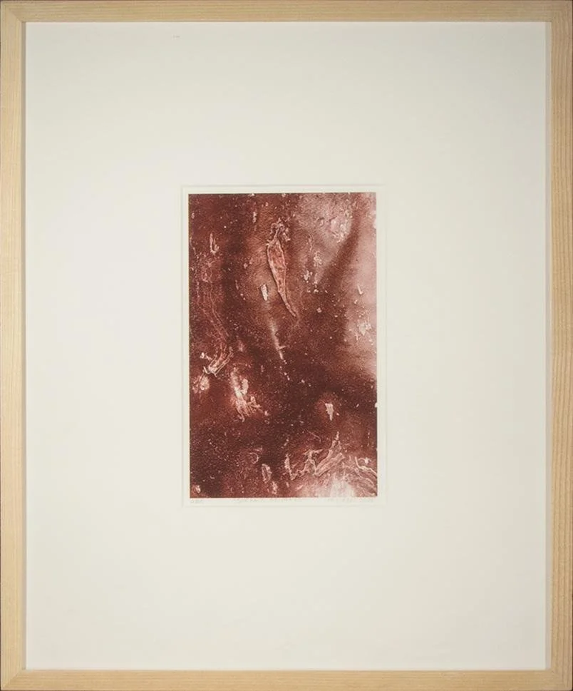 unknown,  unknown - red microscopic,  16.75" x 20.25"