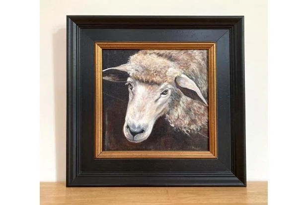 Katherine Riedel, Close Up Sheep,  12" x 12"