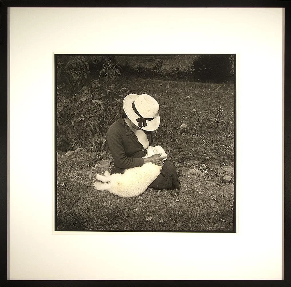 Rosalind Fox Solomon,  Catalin Valentine's Lamb, Ancash, Peru, 1981,  16" x 16" print size