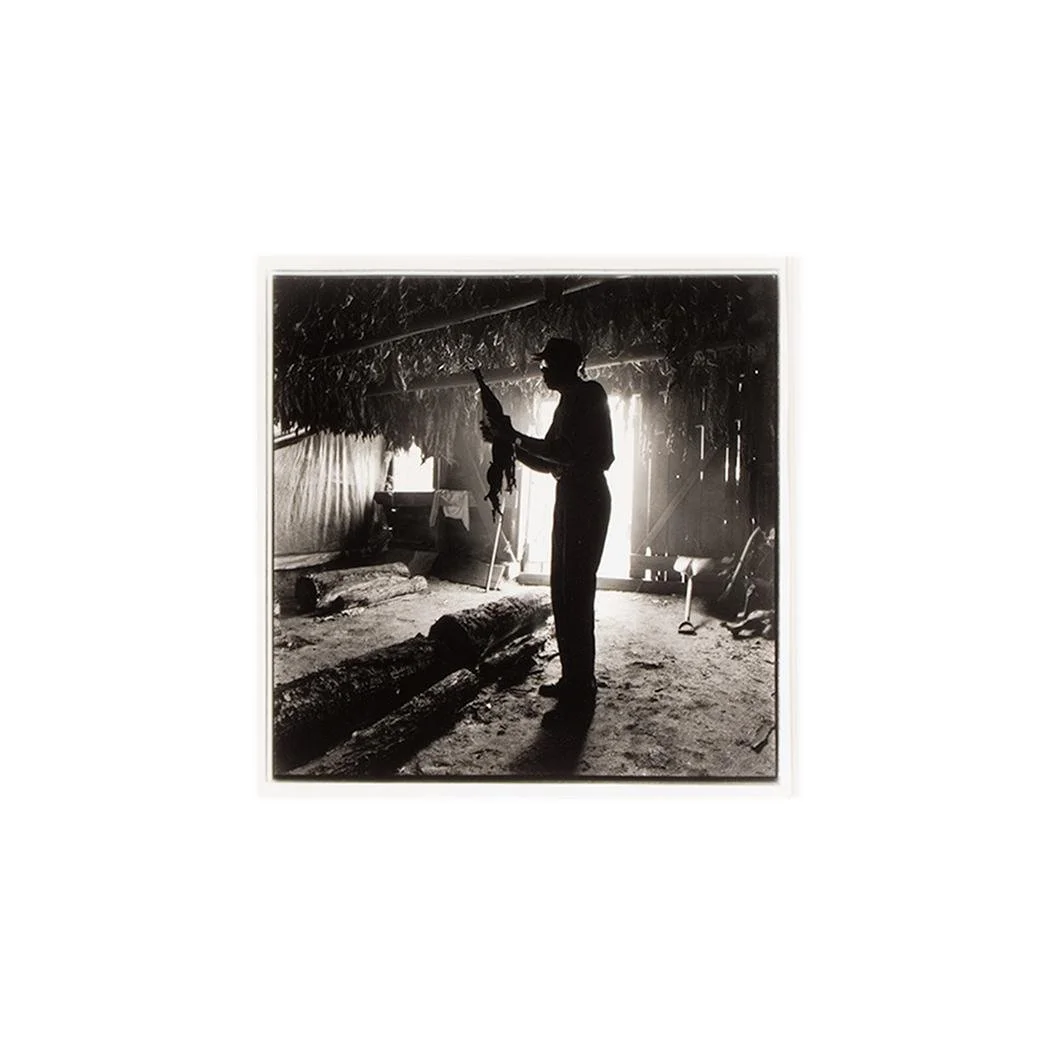 John Ficara,  Hoover Johnson - Buckingham County, Virginia, from American Black Farmers project,  21" x 21"