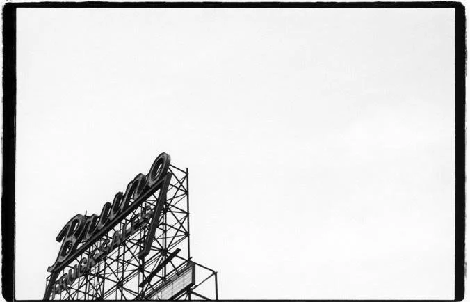 Cynthia Connolly,  Bruno, Brooklyn, NY,  13.75" x 20.25"