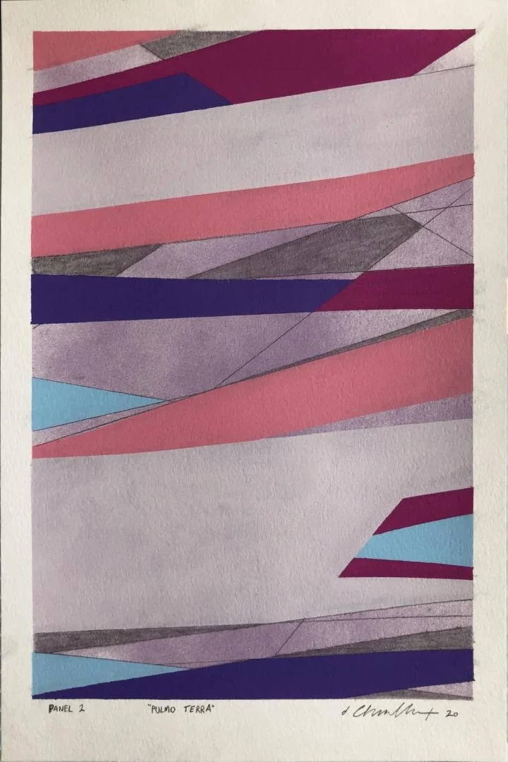 Dan Charbonnet (formerly Dan Tague),   Pulmo Terra Panel 2,  18" x 12"