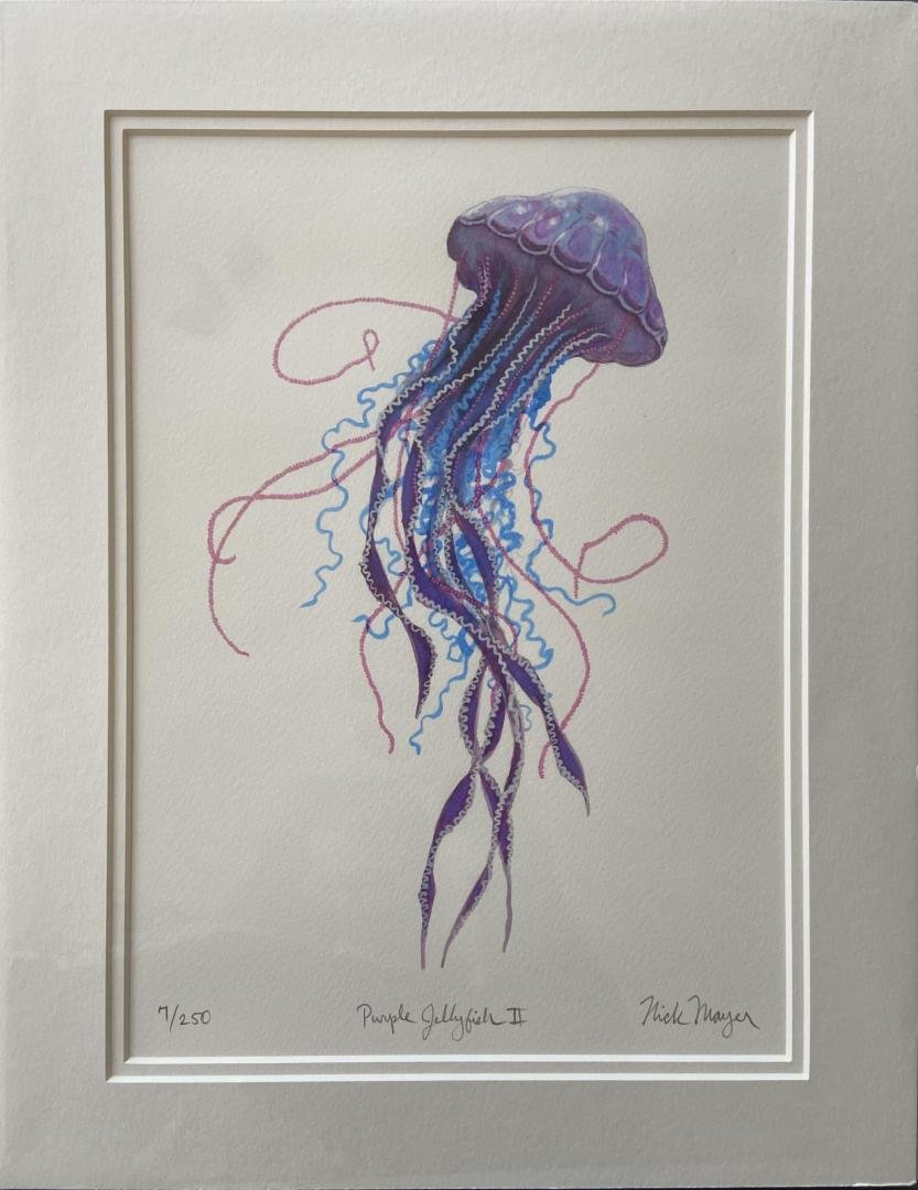 Nick Mayer,   Purple Jellyfish 2,  18" x 14" matted