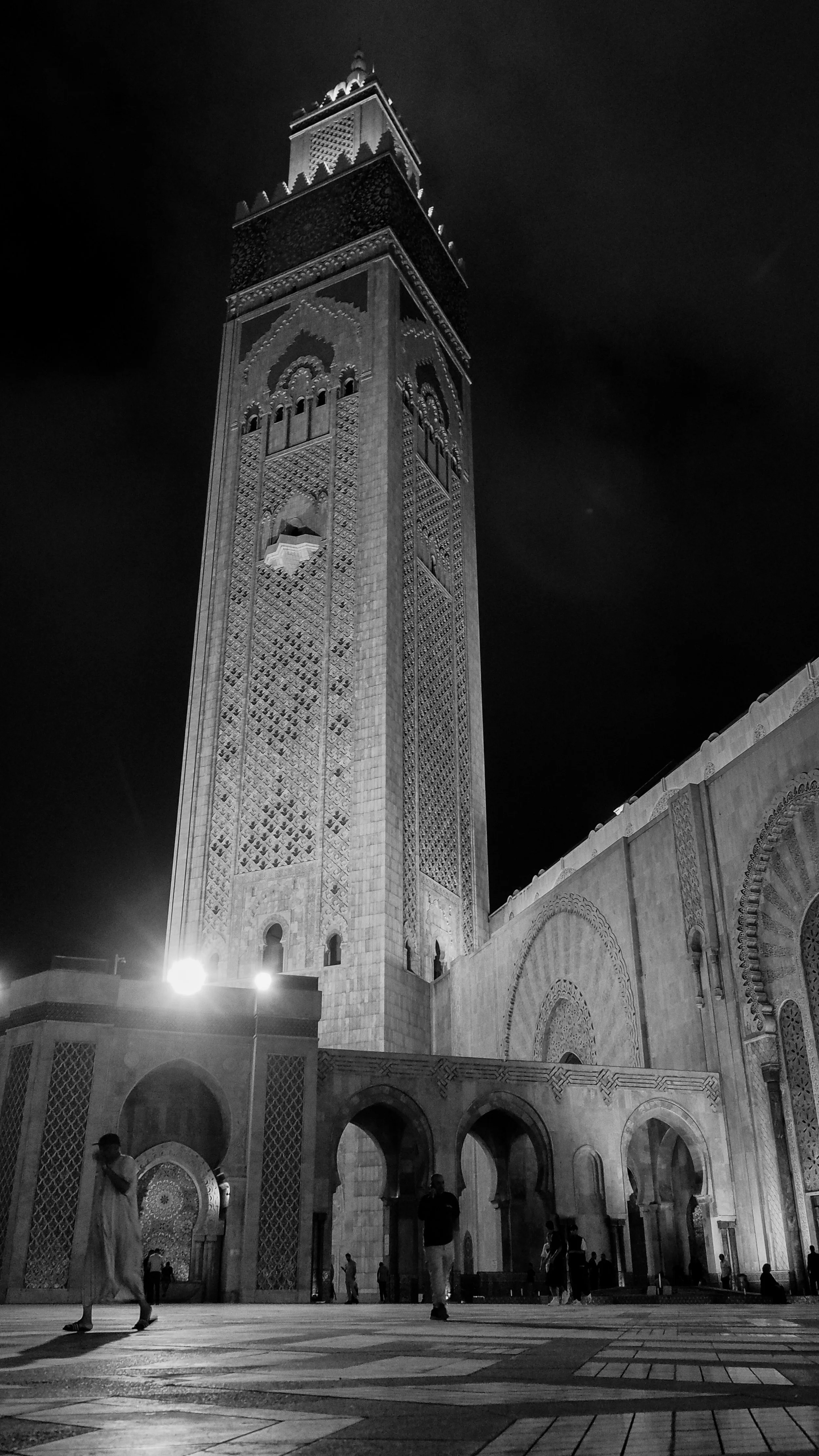 _9221537.jpg