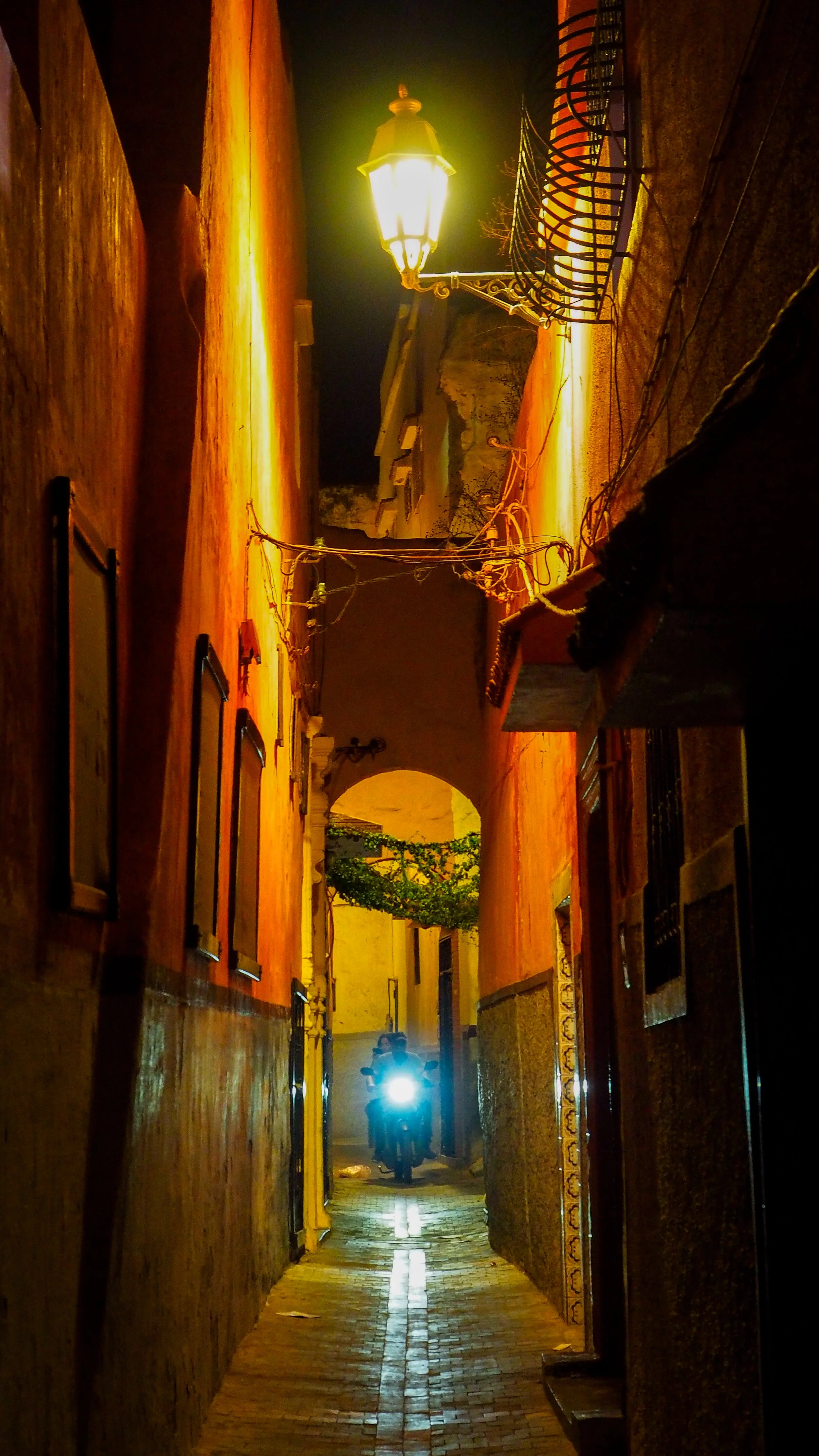 _9211437.jpg