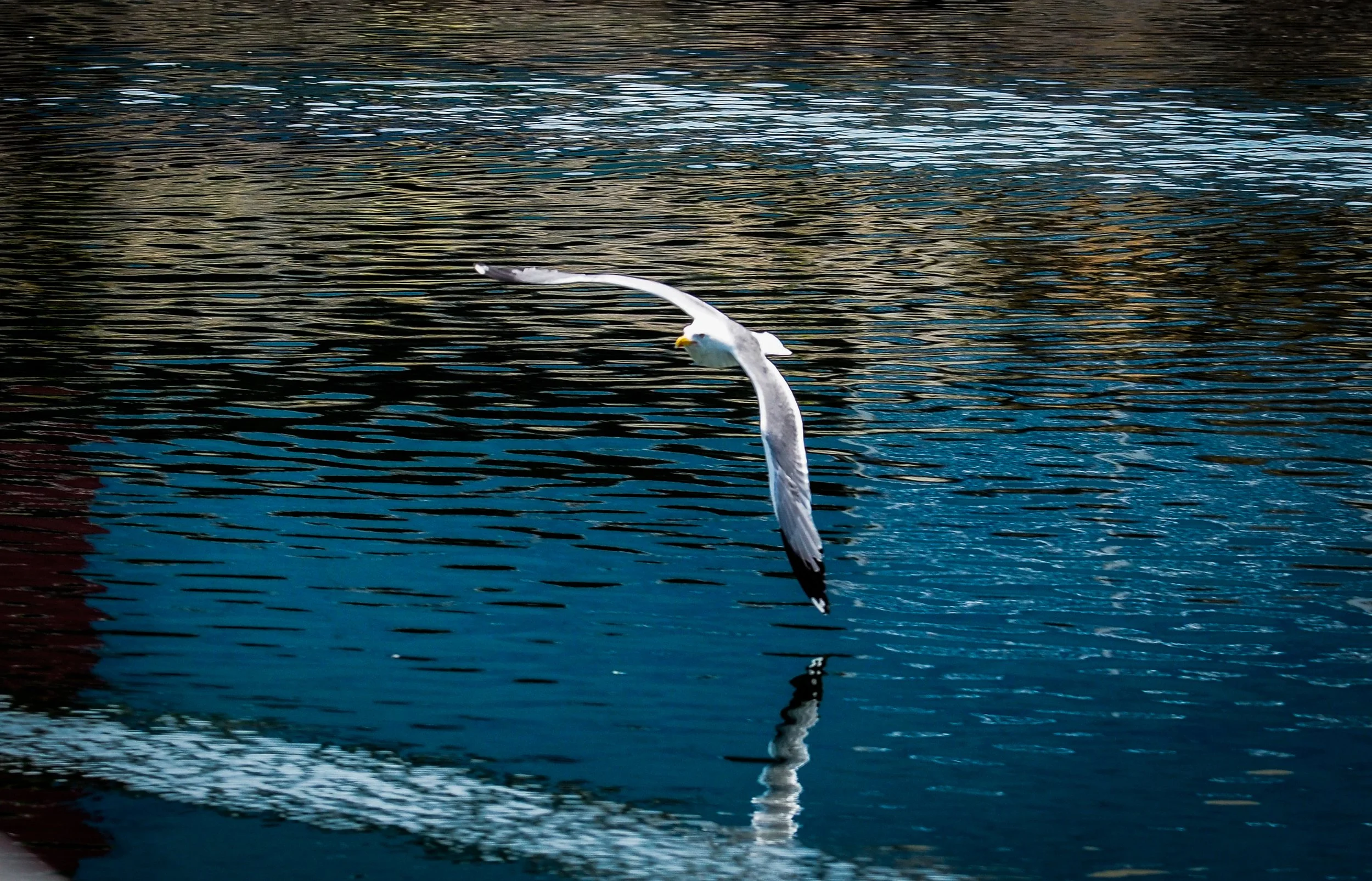 _7250552.jpg