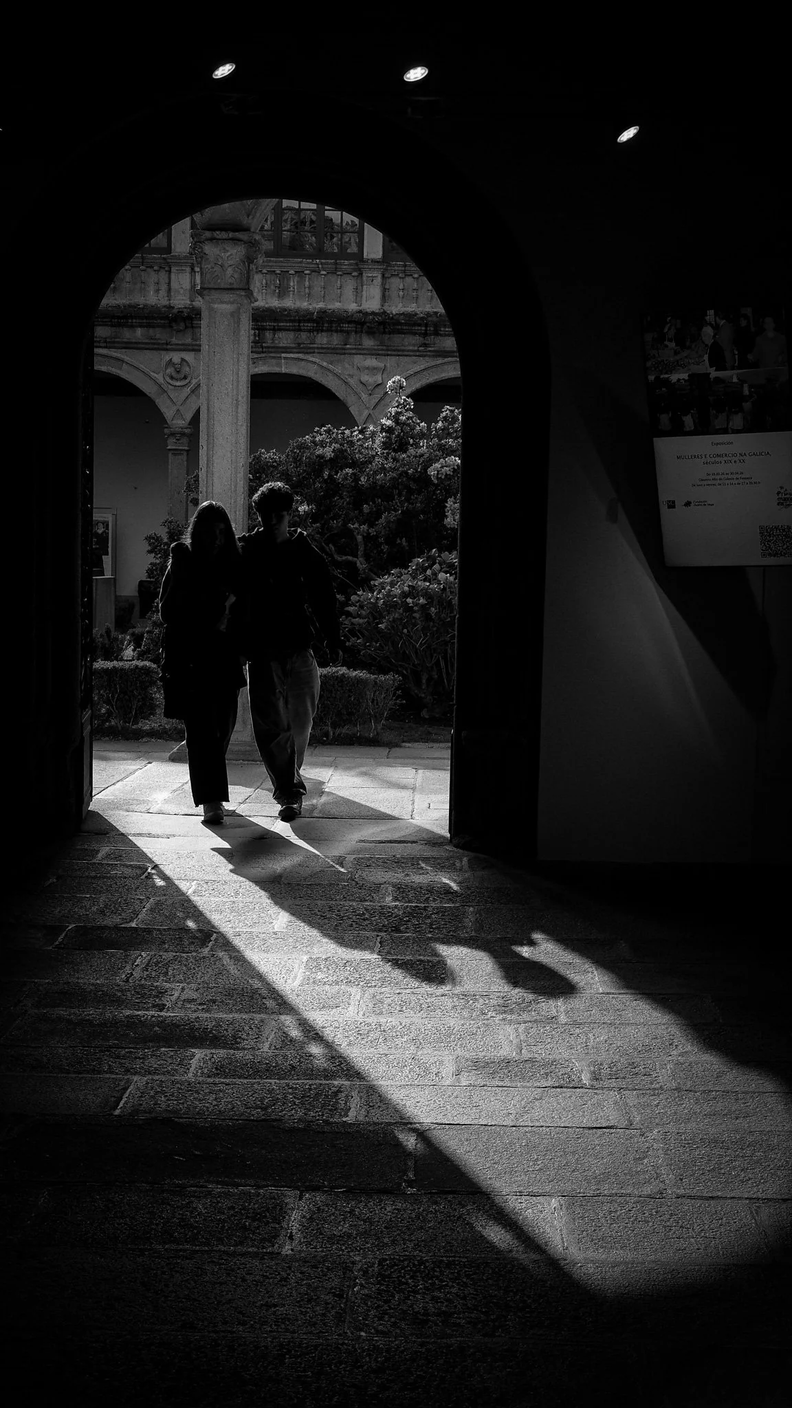 _3218539.jpg