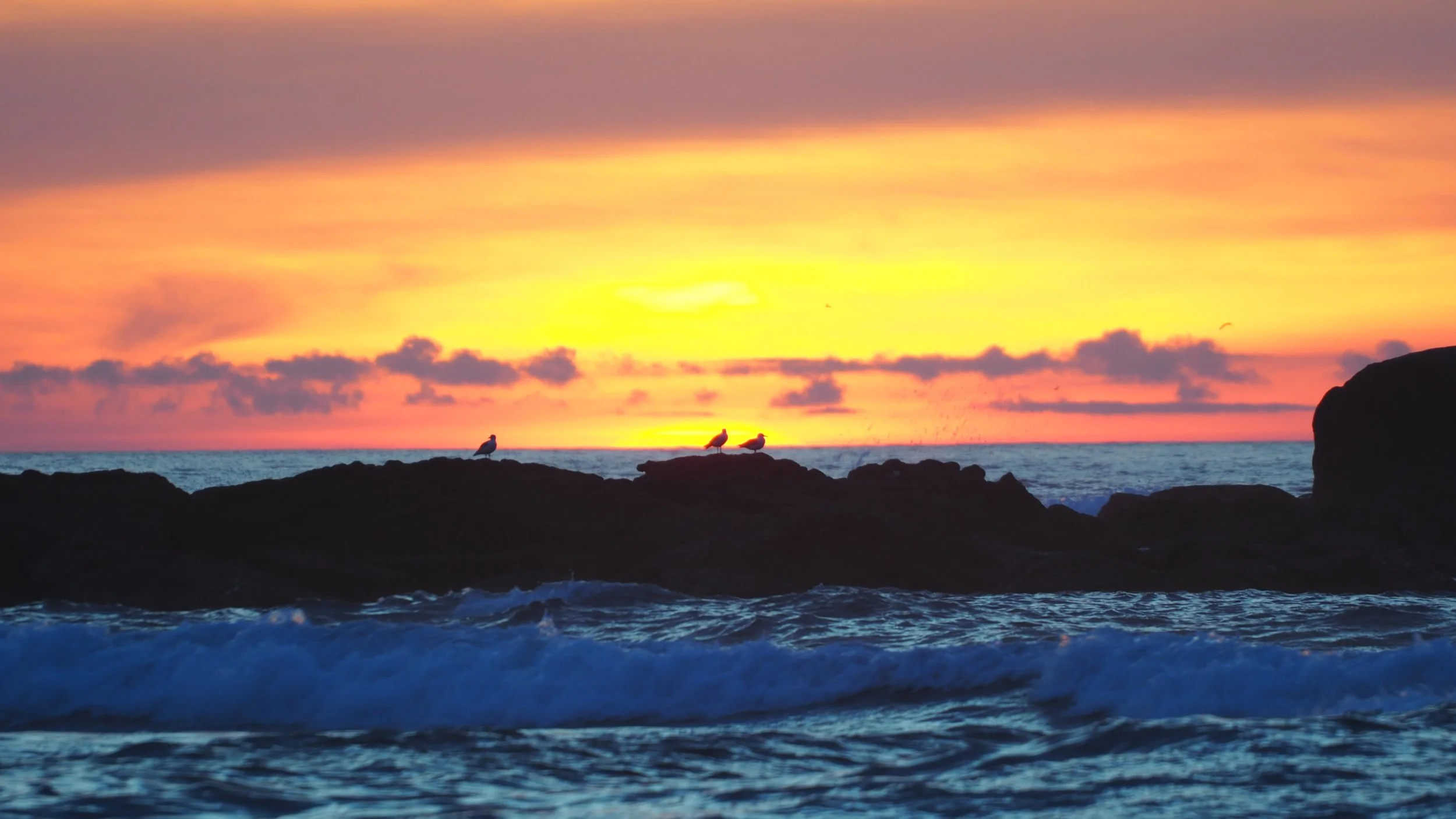 Seaside sunset with colorful sky, three seagulls perched on rocks, waves crashing near the shore.