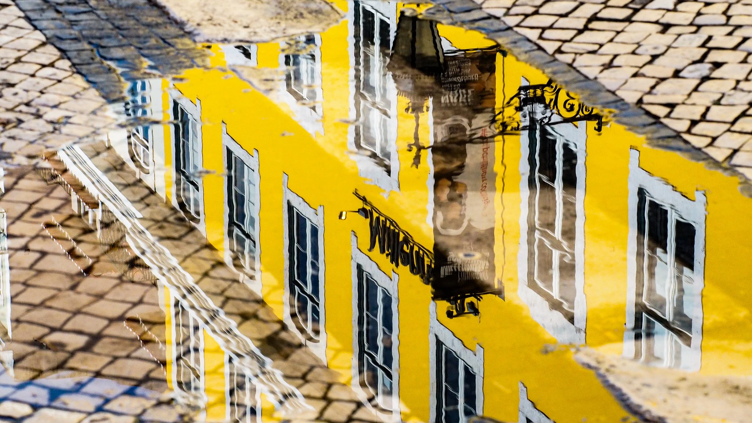 _8231549.jpg