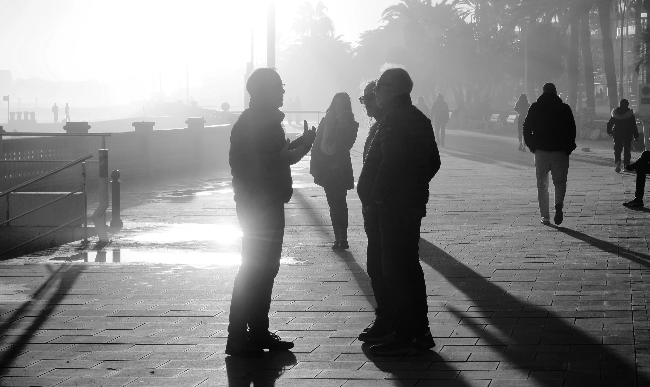 A black and white photo of a group of people walking along a waterfront promenade, some distant and some closer, with trees and boats visible in the background and sunlight creating long shadows.