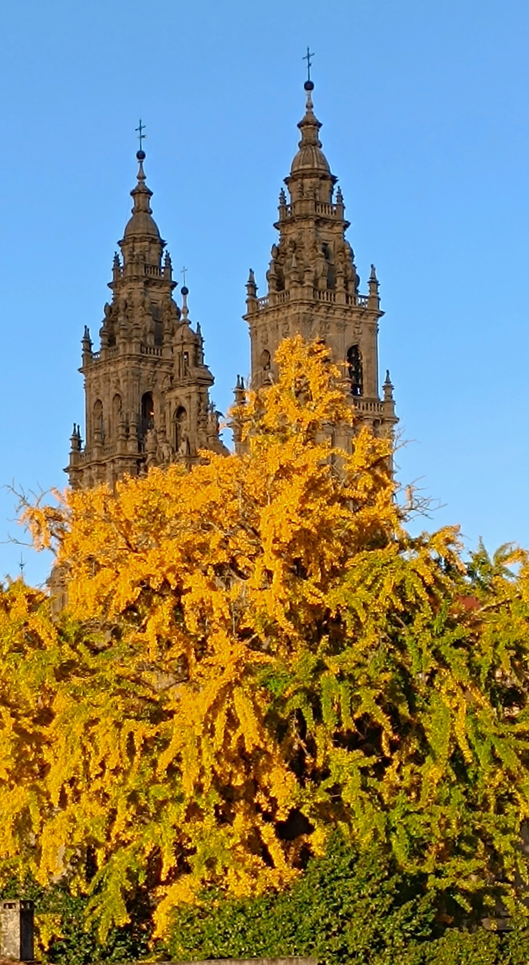 Two tall, ornate church towers with crosses at the top, partially obscured by a large yellow and orange autumn tree, under a clear blue sky.