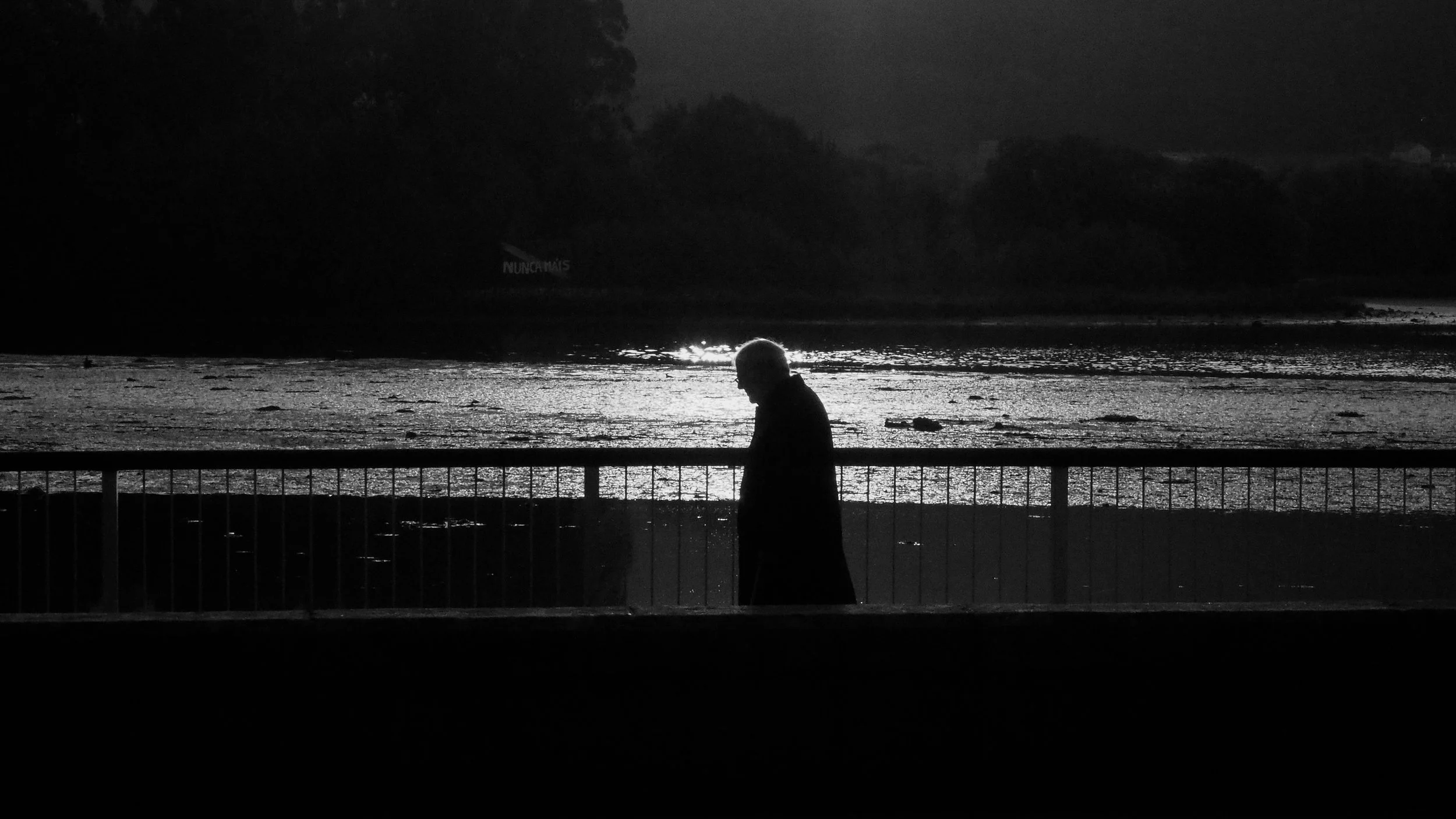 _A231454.jpg
