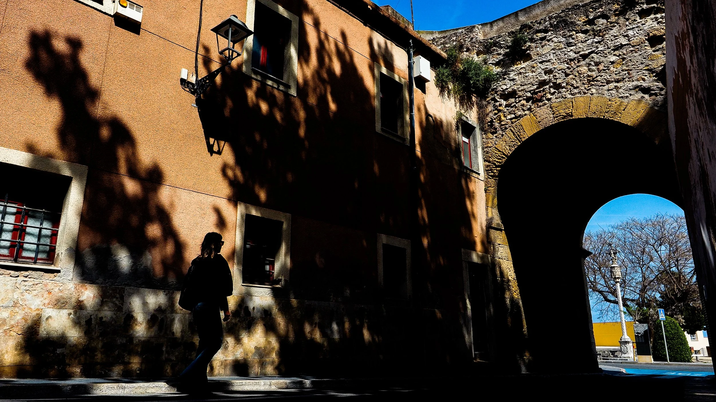 _4249452.jpg