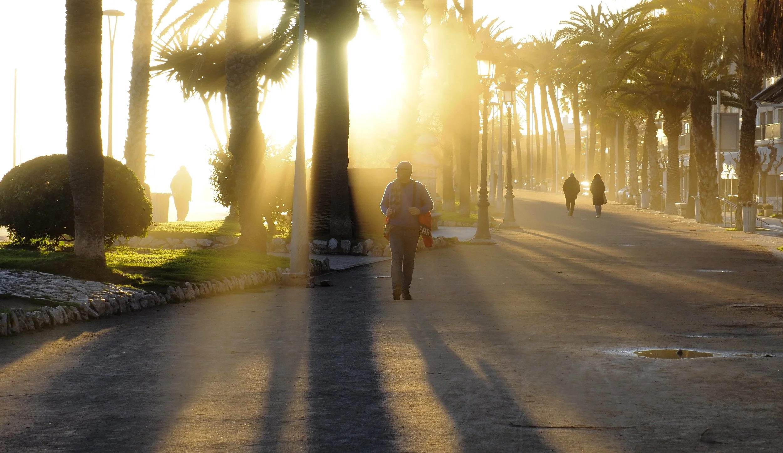 People walking along a palm tree-lined street at sunrise, with sunlight streaming through the trees.