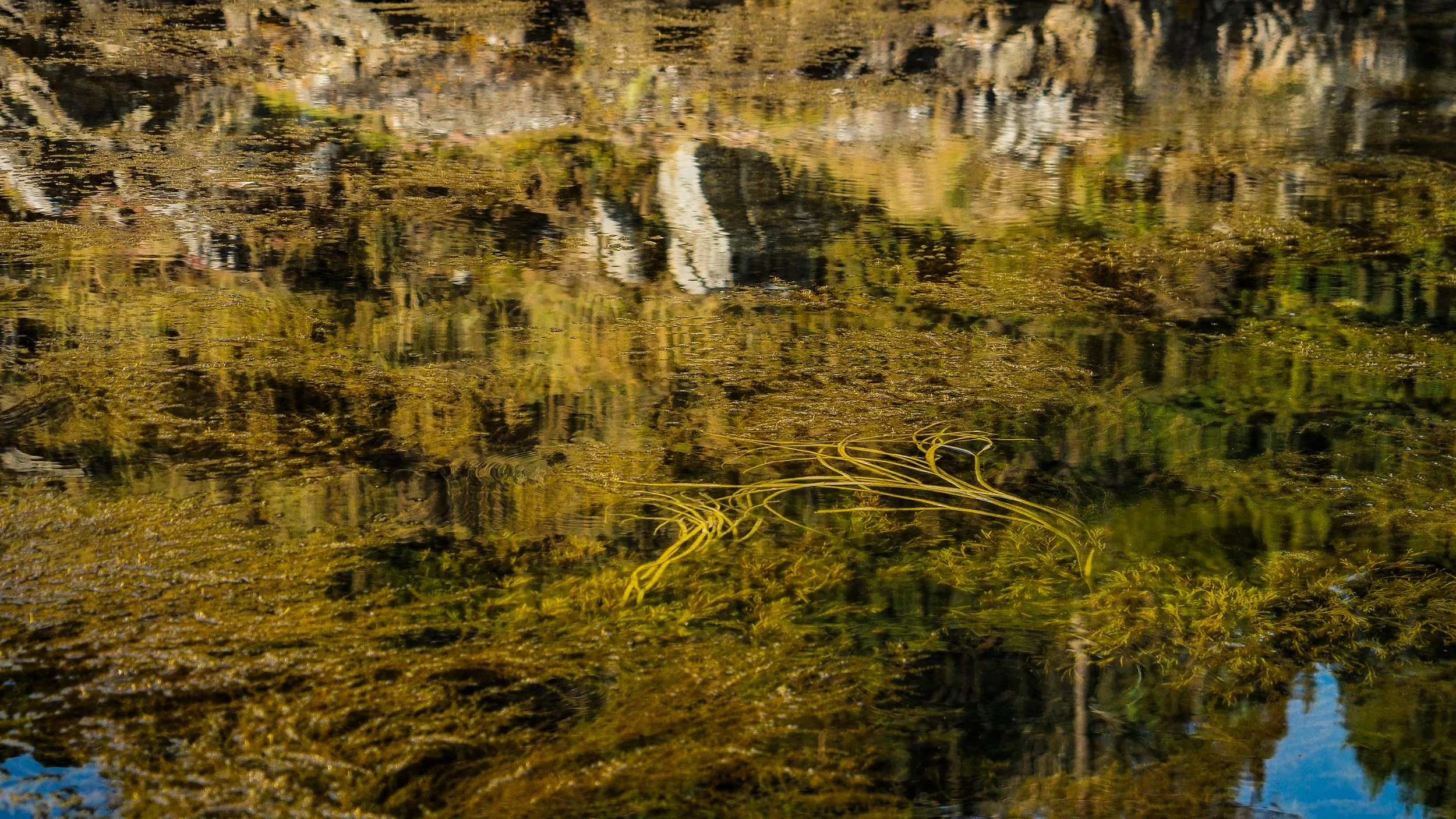 _6139800.jpg