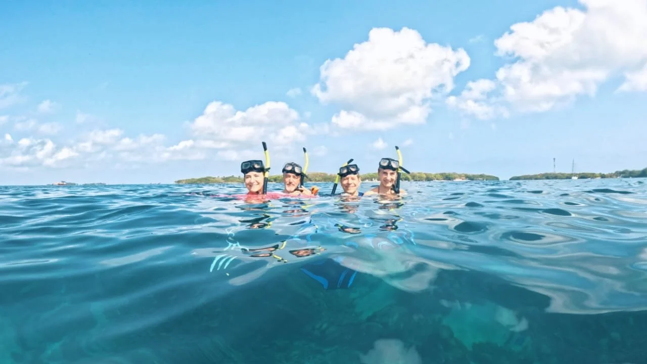 WhatsApp Image 2026-03-21 at 12.05.48 PM (1).jpeg