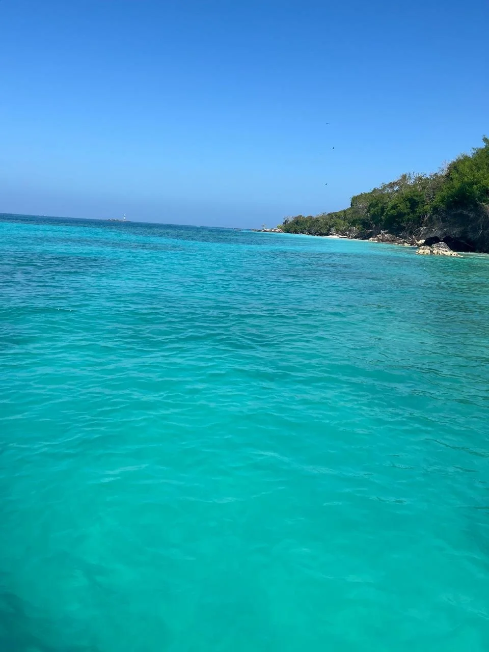 Vista de mar cristalino azul y verde con costa con vegetación y cielo despejado.