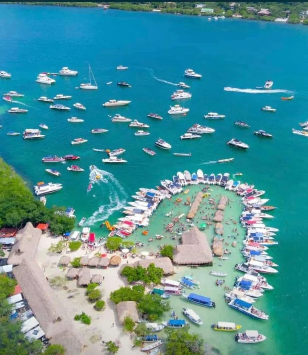 WhatsApp Image 2026-03-30 at 1.53.02 AM.jpeg