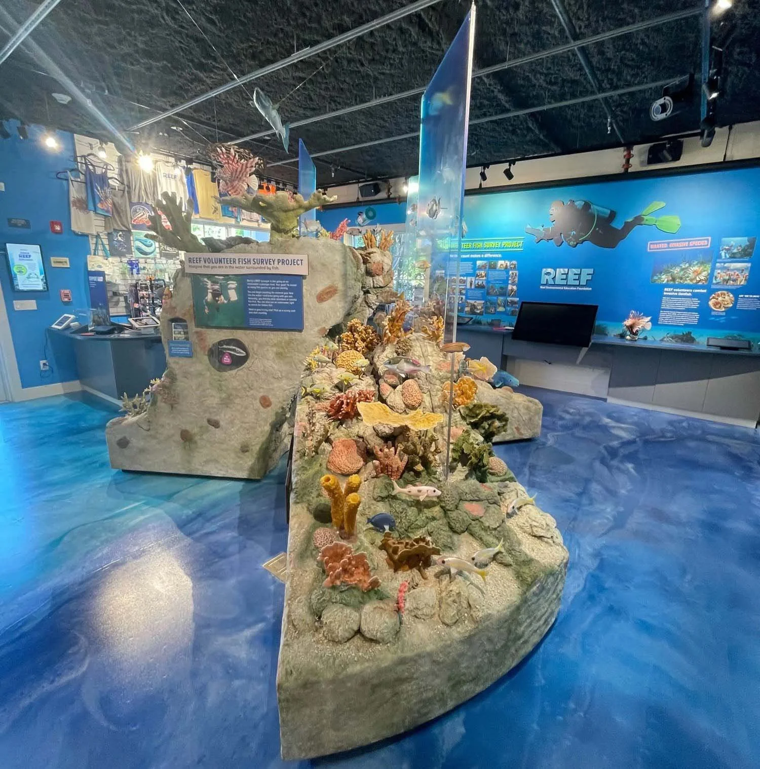 reef-ocean-exploration-center-reef-exhibit.jpg