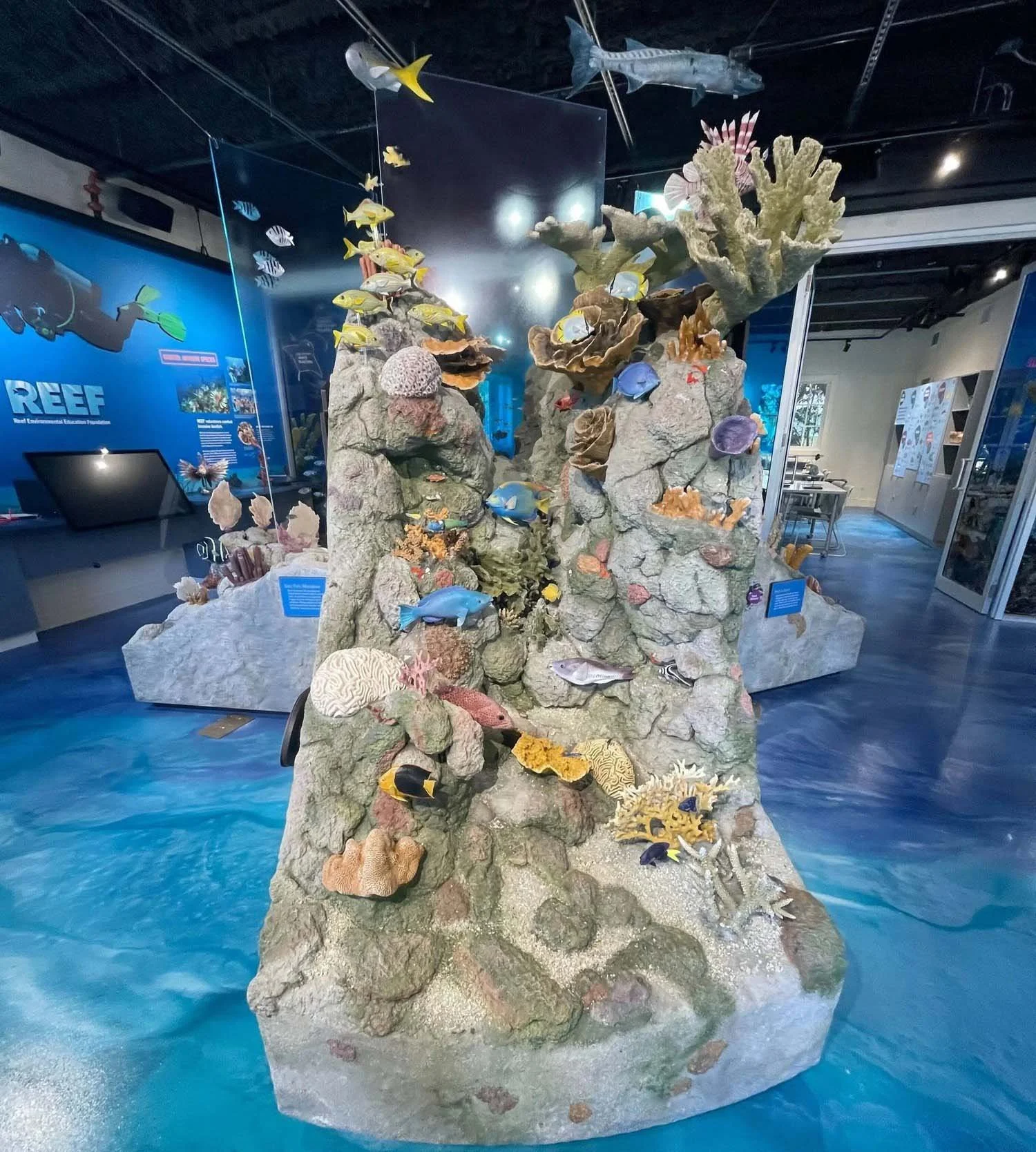 reef-ocean-exploration-center-reef-exhibition-section.jpg