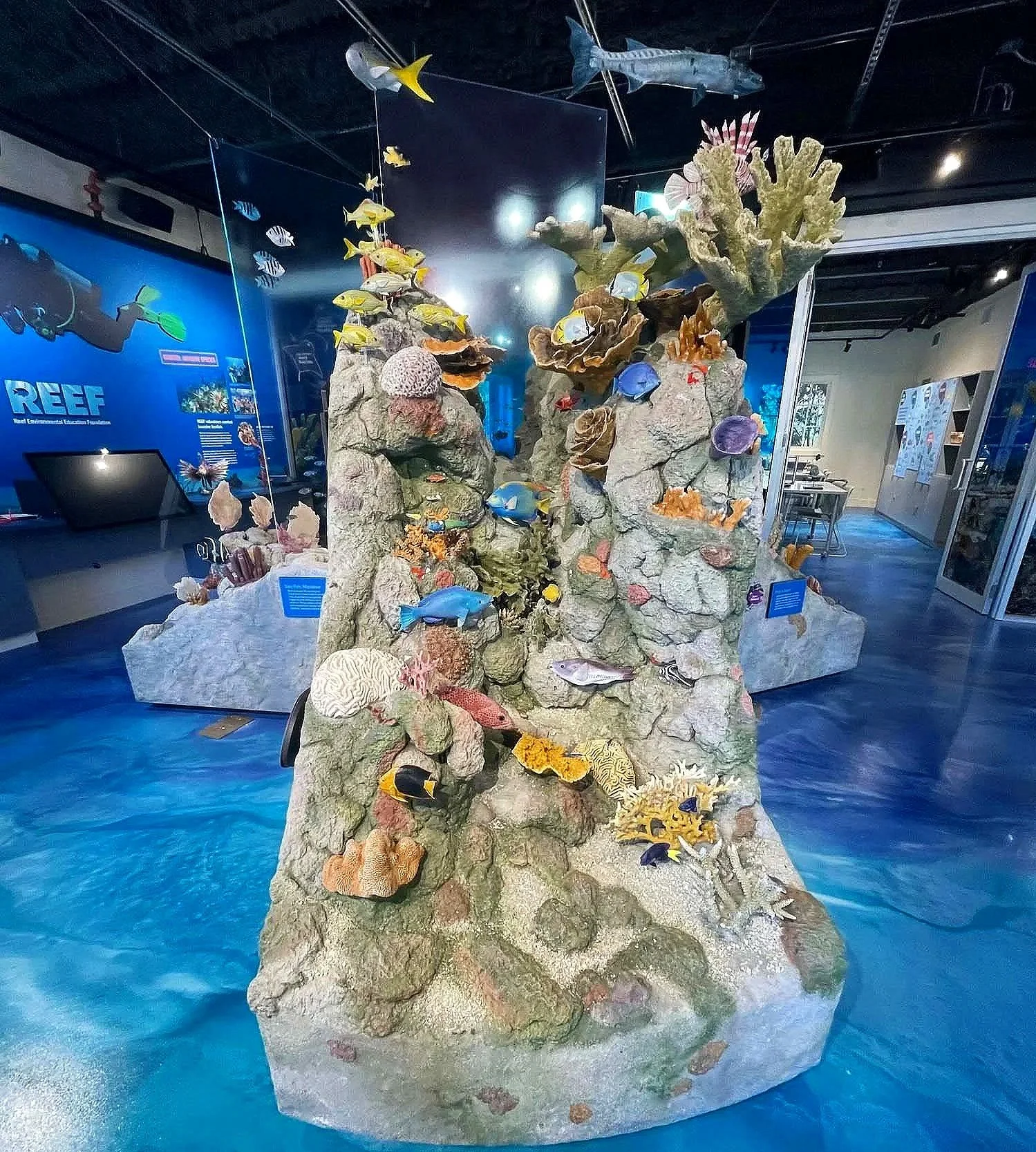 Reef Ocean Exploration Center Exhibit