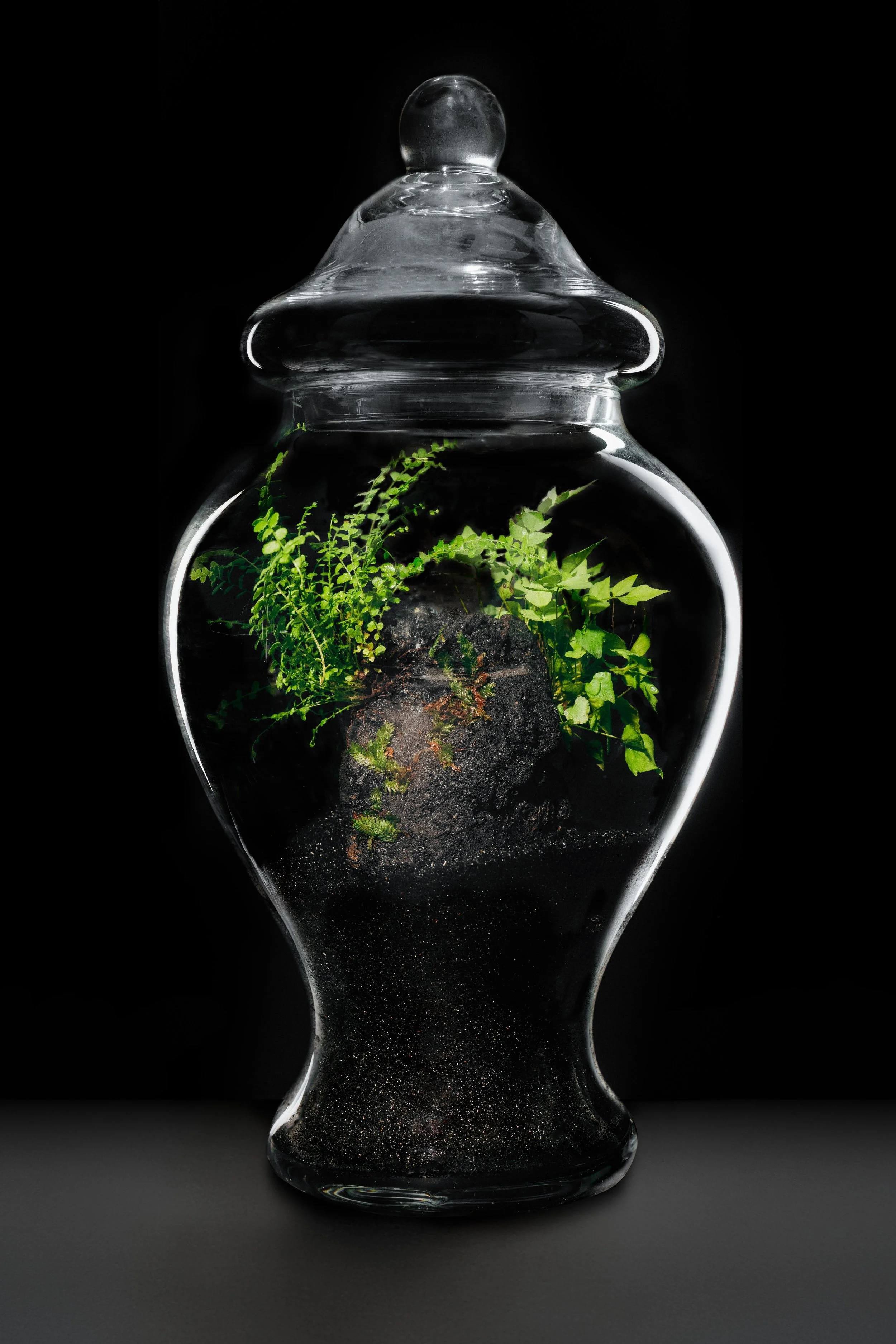 Study No. 02 - Medium