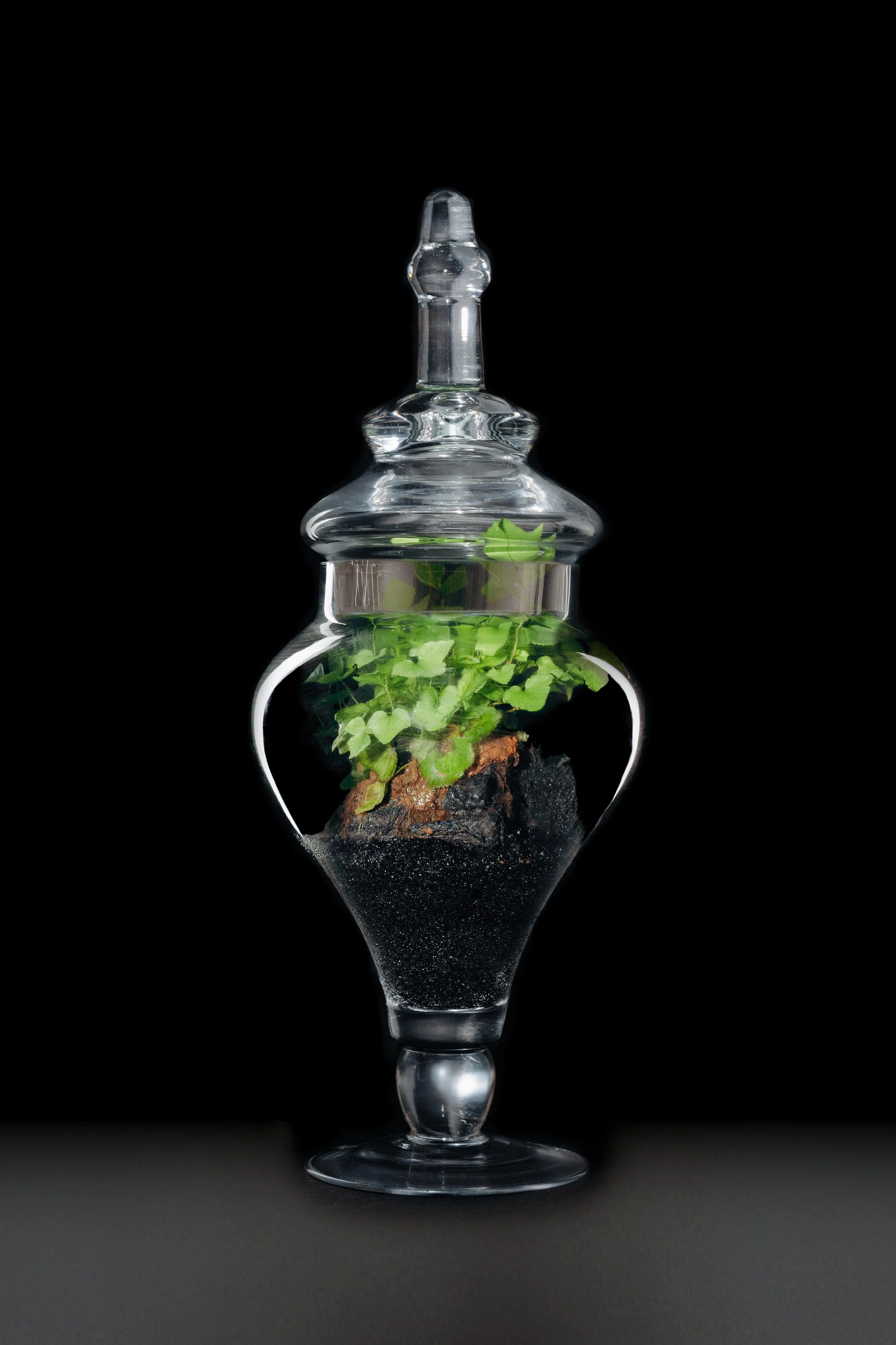 Study No. 01 - Small