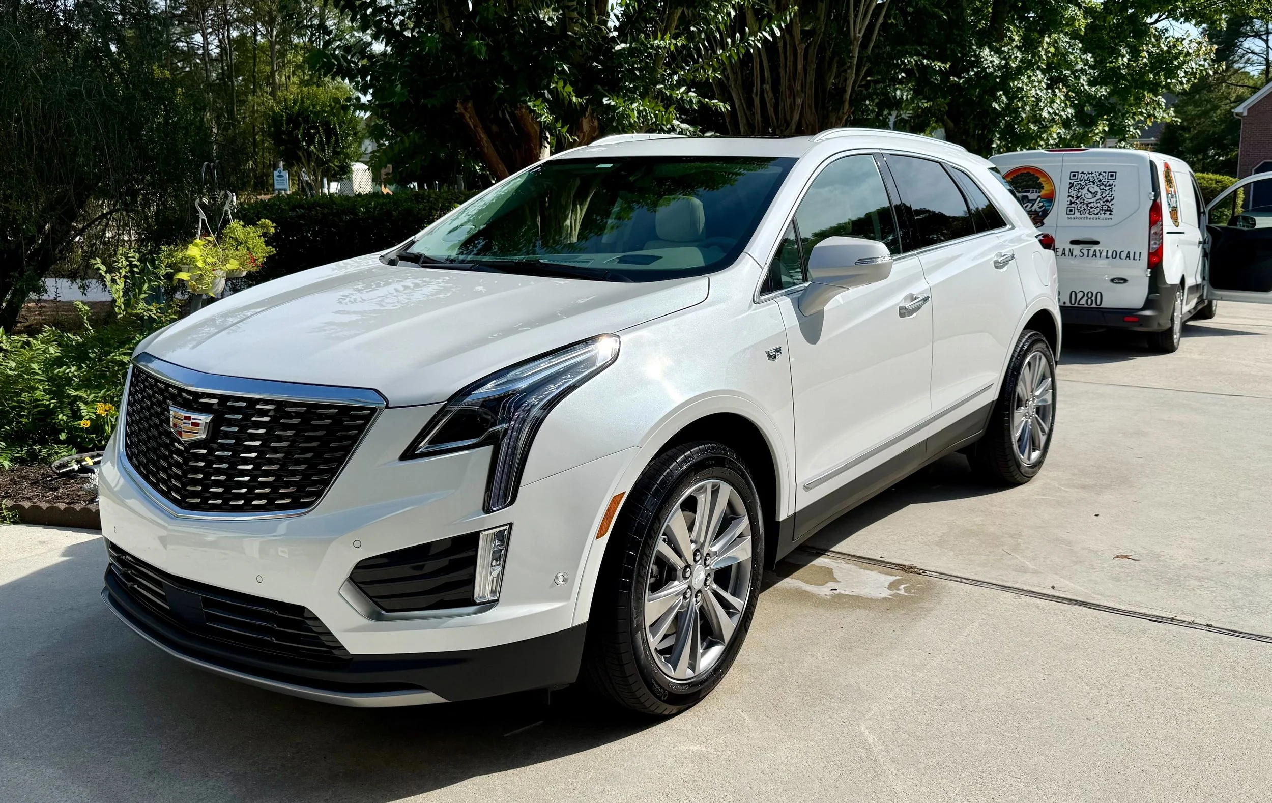 Caddy.jpg