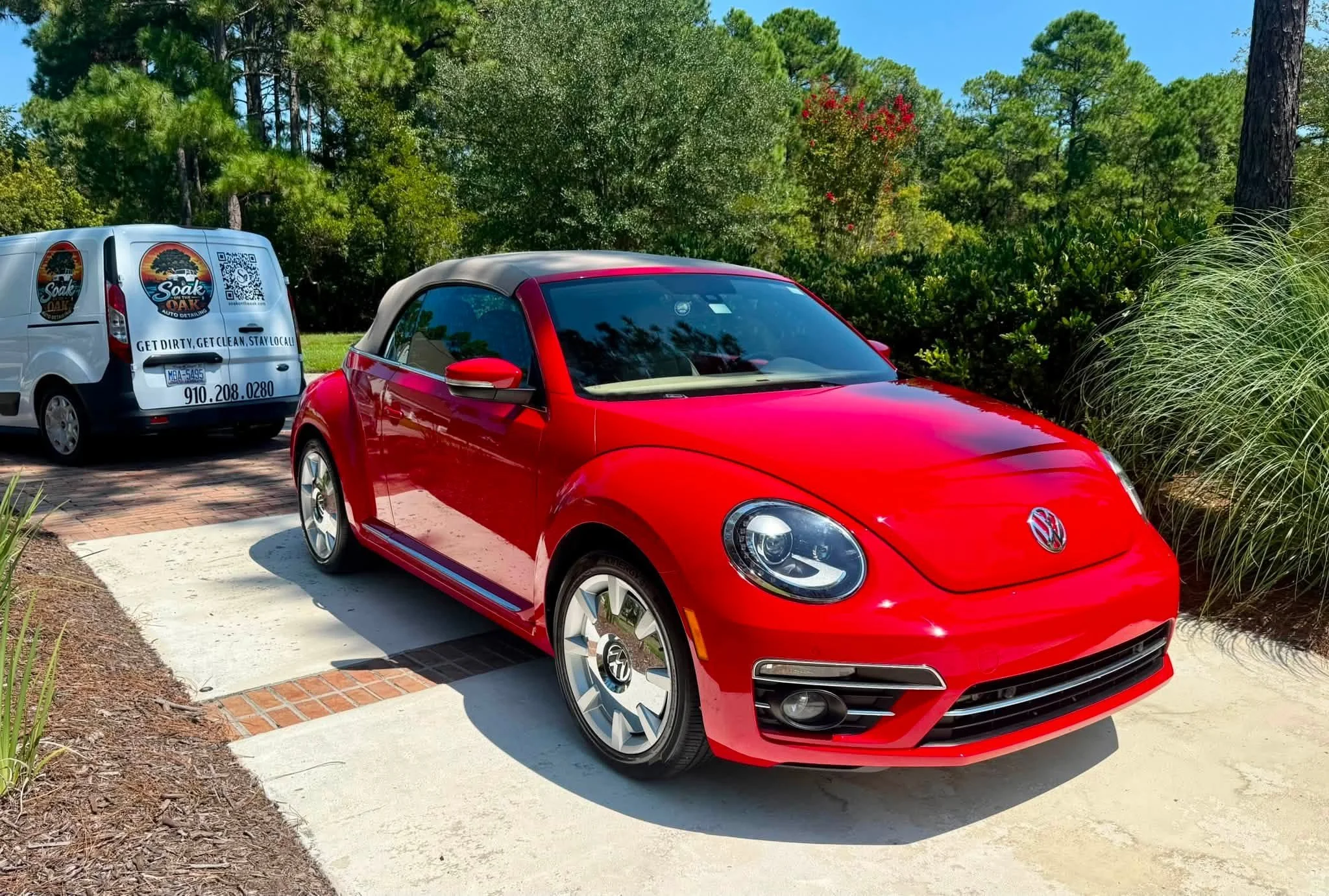 Beetle.jpg