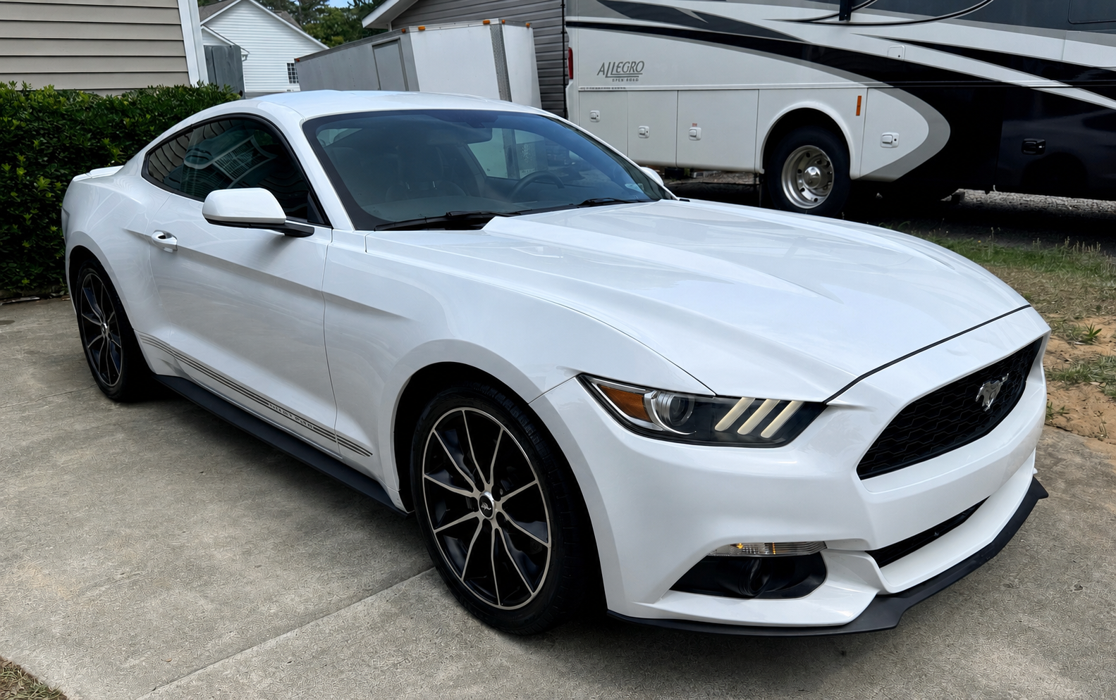 Mustang - Full detail