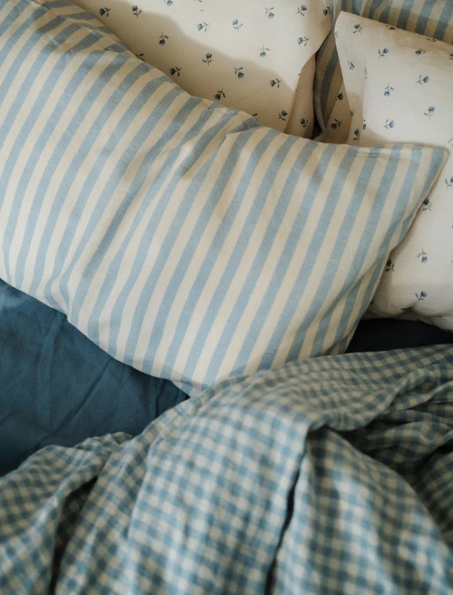 Piglet in Bed